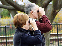 Birding in Bellingham